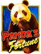 สล็อต xo ออ โต้เกม บา คา ร่า ออนไลน์: เล่นสนุก กำไรสุดปัง!